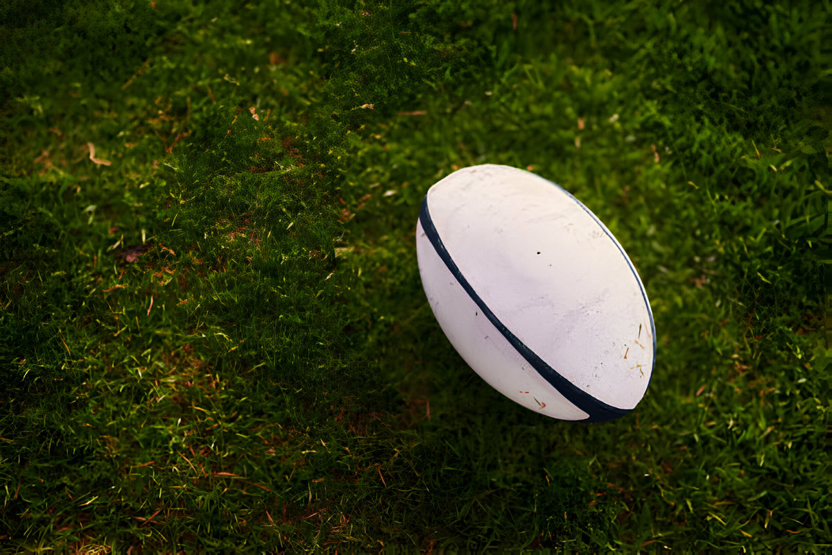 What Are Modern Rugby Balls Made Of at Sam Mcclendon blog