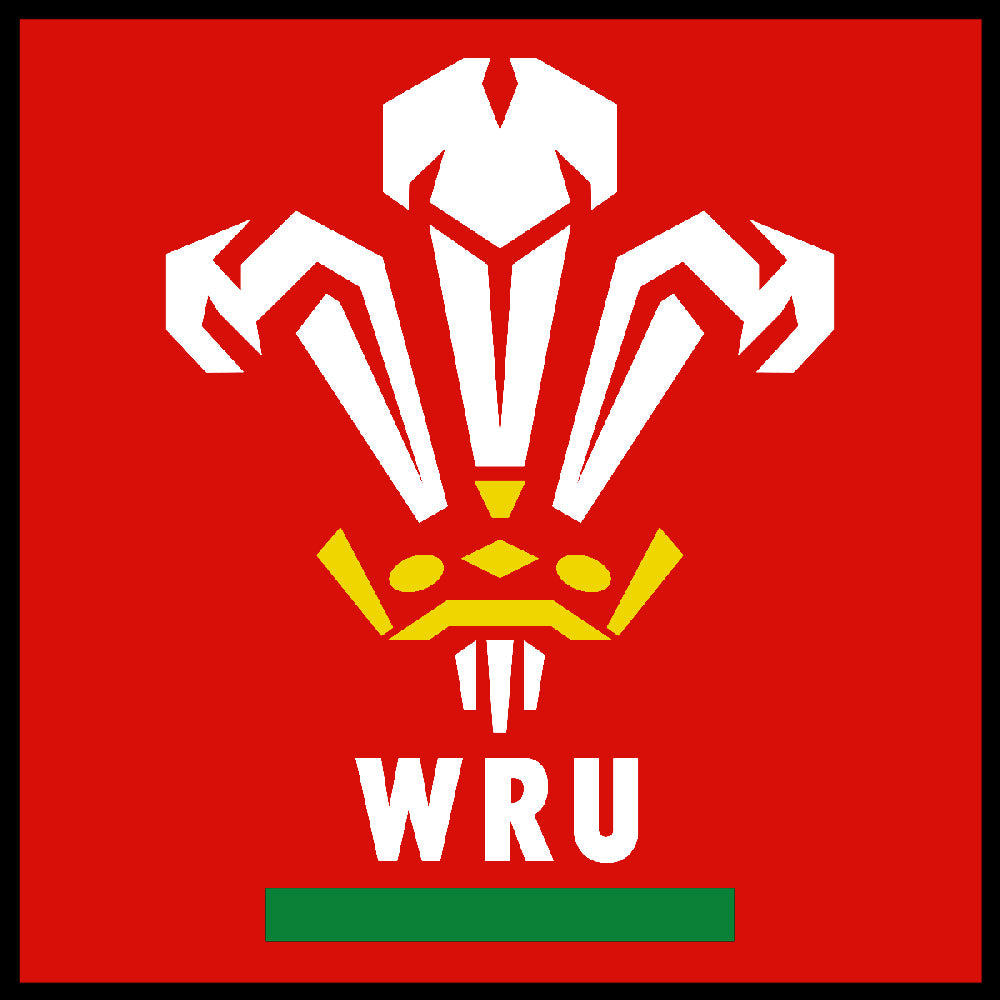 Wales Rugby Shirts | Clothing & Accessories